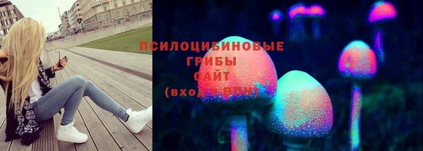 ГАЛЛЮЦИНОГЕННЫЕ ГРИБЫ Алексин