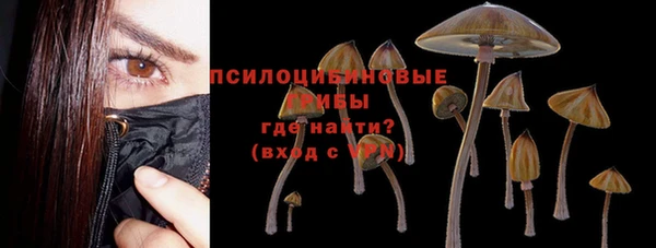 первитин Алексеевка
